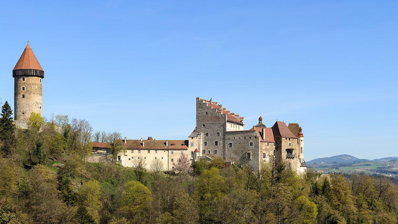 Burg Clam