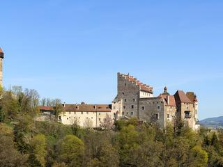 Burg Clam