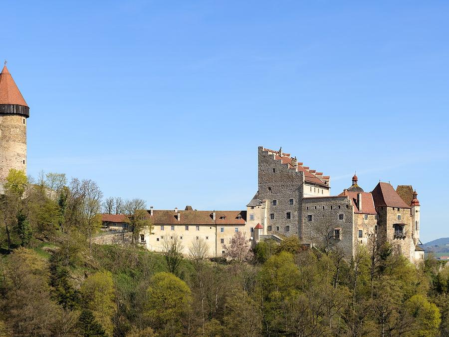 Burg Clam