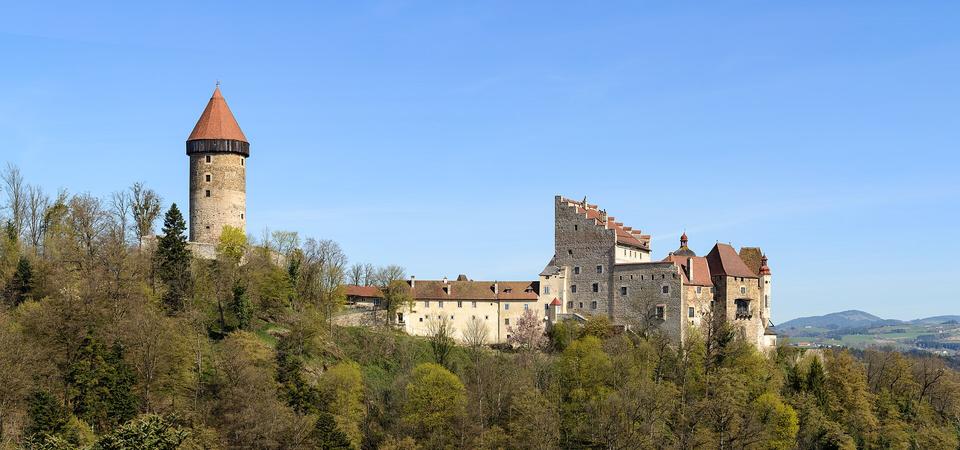 Burg Clam