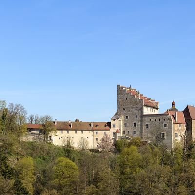 Burg Clam
